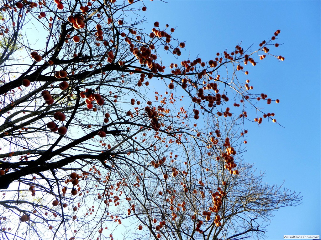 P1040413