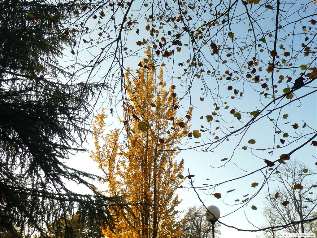 P1040429