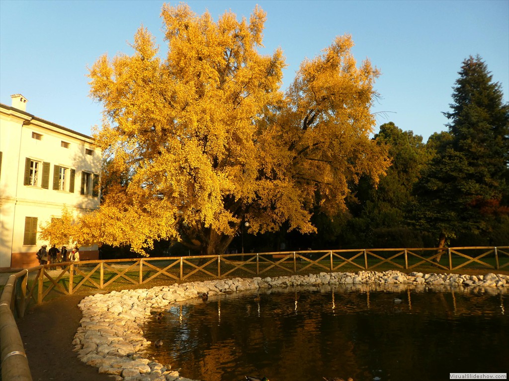 P1040447