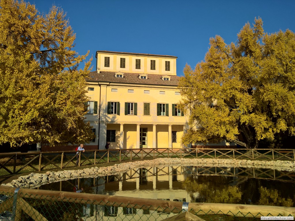 WP_20181128_14_01_19_Pro