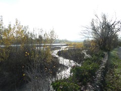P1040382