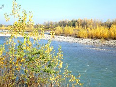 P1040385