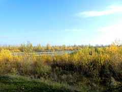 P1040389