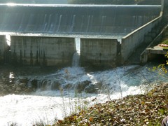 P1040393