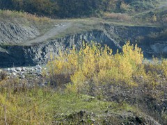 P1040397