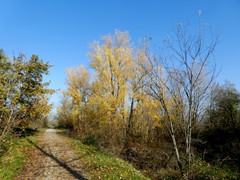 P1040399