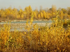 P1040400