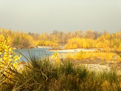 P1040401