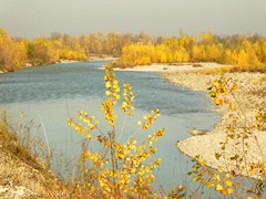 P1040404