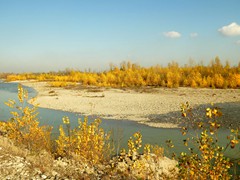P1040406