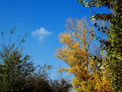 P1040410