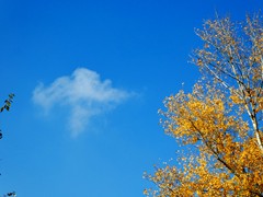 P1040411