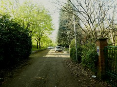 P1040412