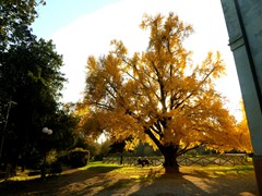P1040420