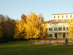 P1040439