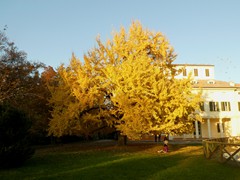 P1040440