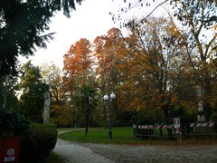 P1040452