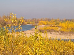 WP_20181128_12_29_55_Pro