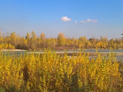 WP_20181128_12_30_03_Pro