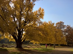 WP_20181128_13_58_33_Pro