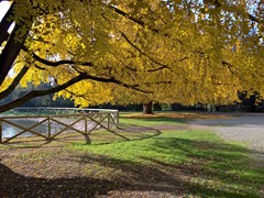 WP_20181128_14_14_10_Pro