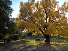 WP_20181128_14_51_57_Pro
