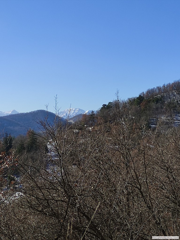 IMG_20220112_114600