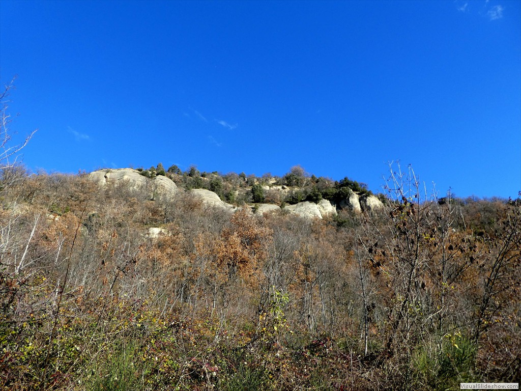 P1040482
