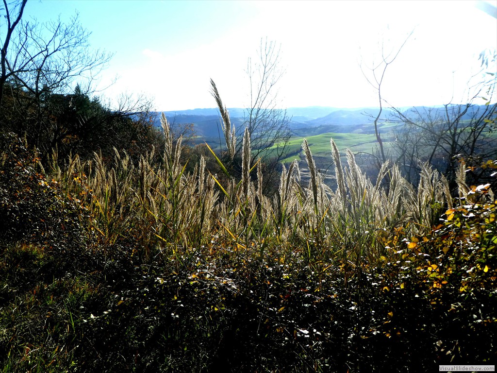 P1040483