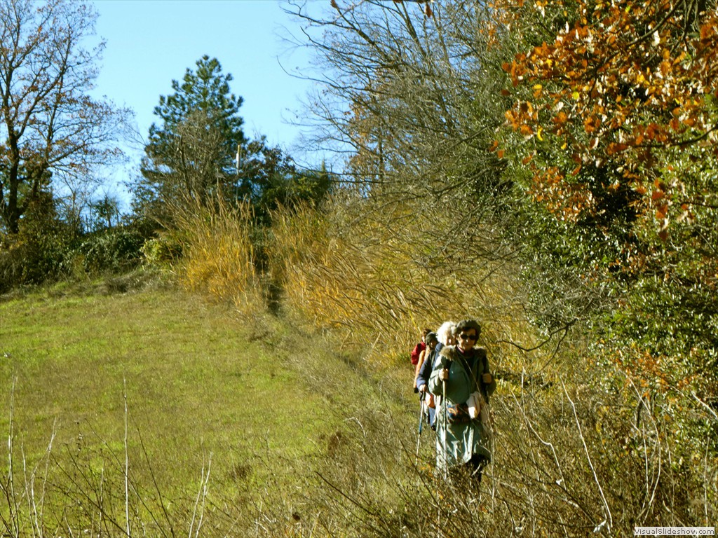 P1040500