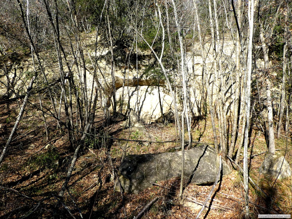 P1040503