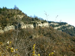 P1040480