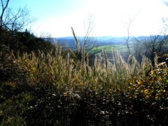 P1040483
