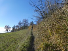 P1040497