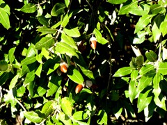 P1040501