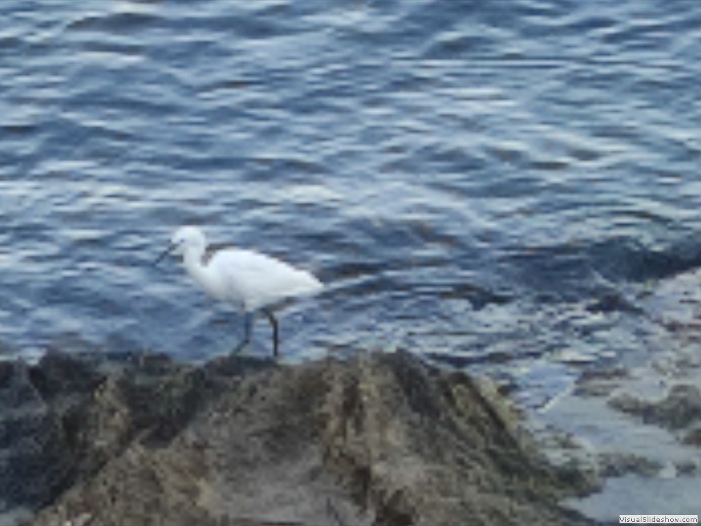 IMG_20211020_075123