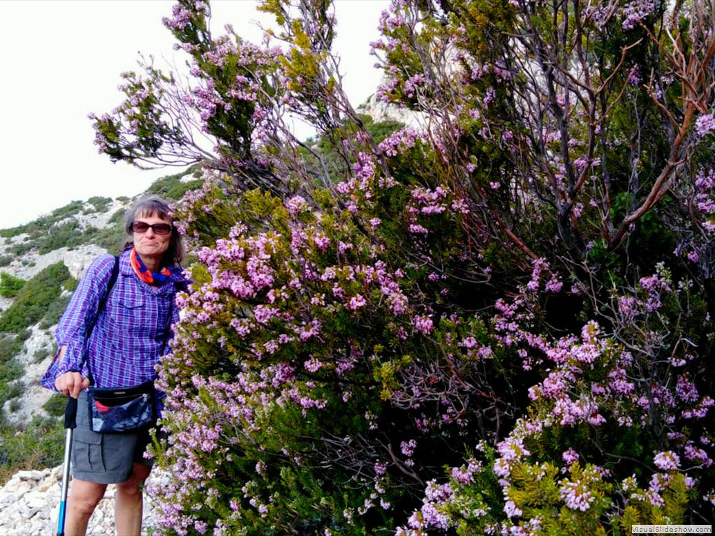 IMG-20191026-WA0012