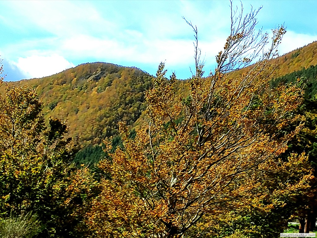 IMG_20191016_140638