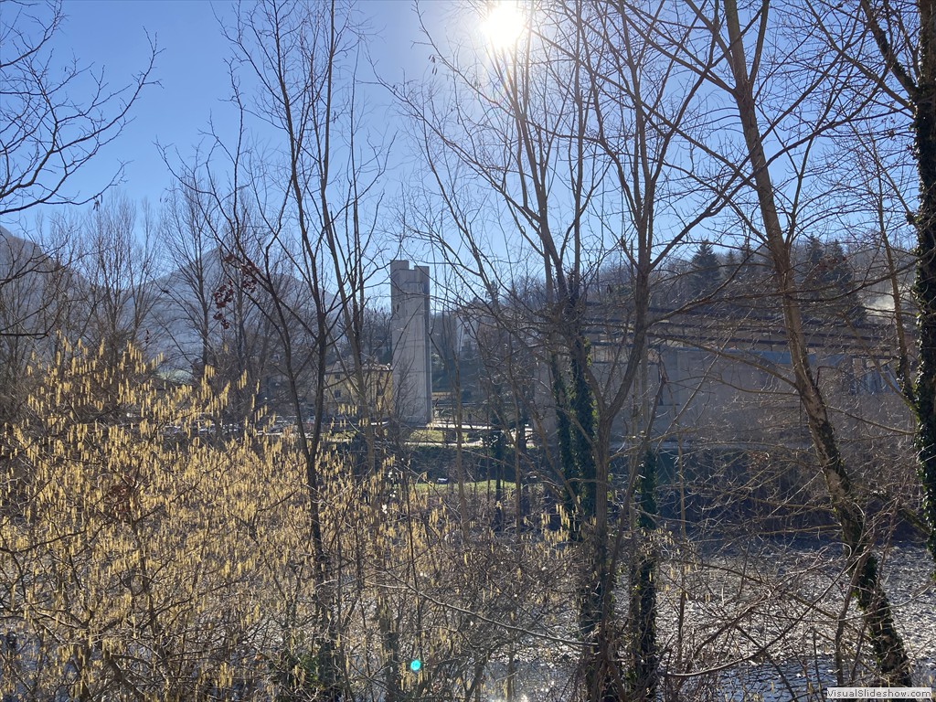 IMG_2353