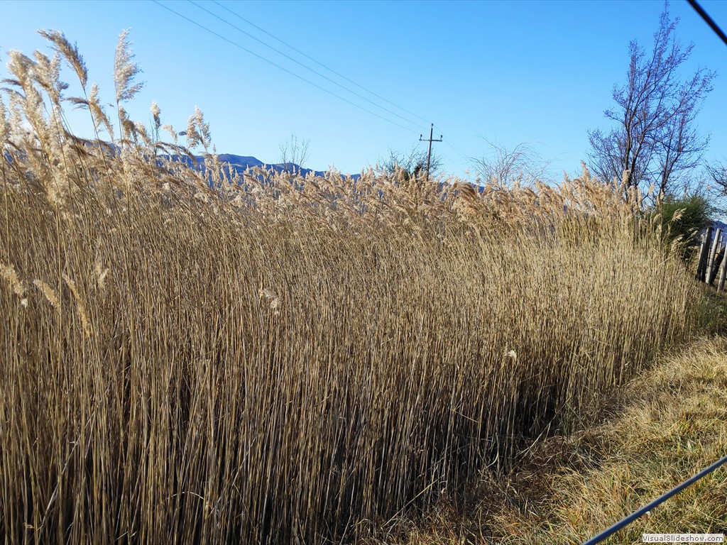 IMG_20200129_151601_1