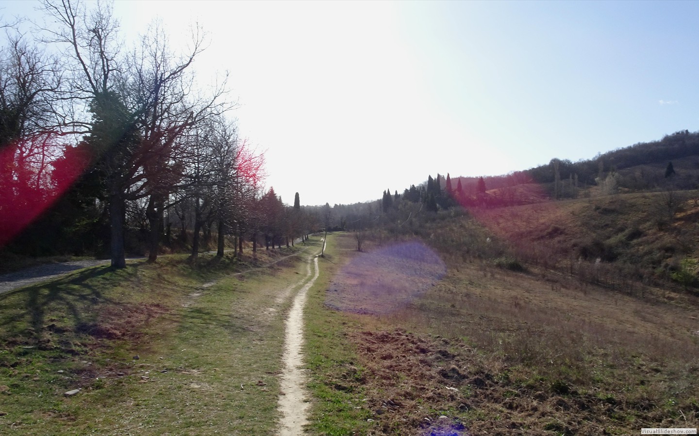 DSC02076