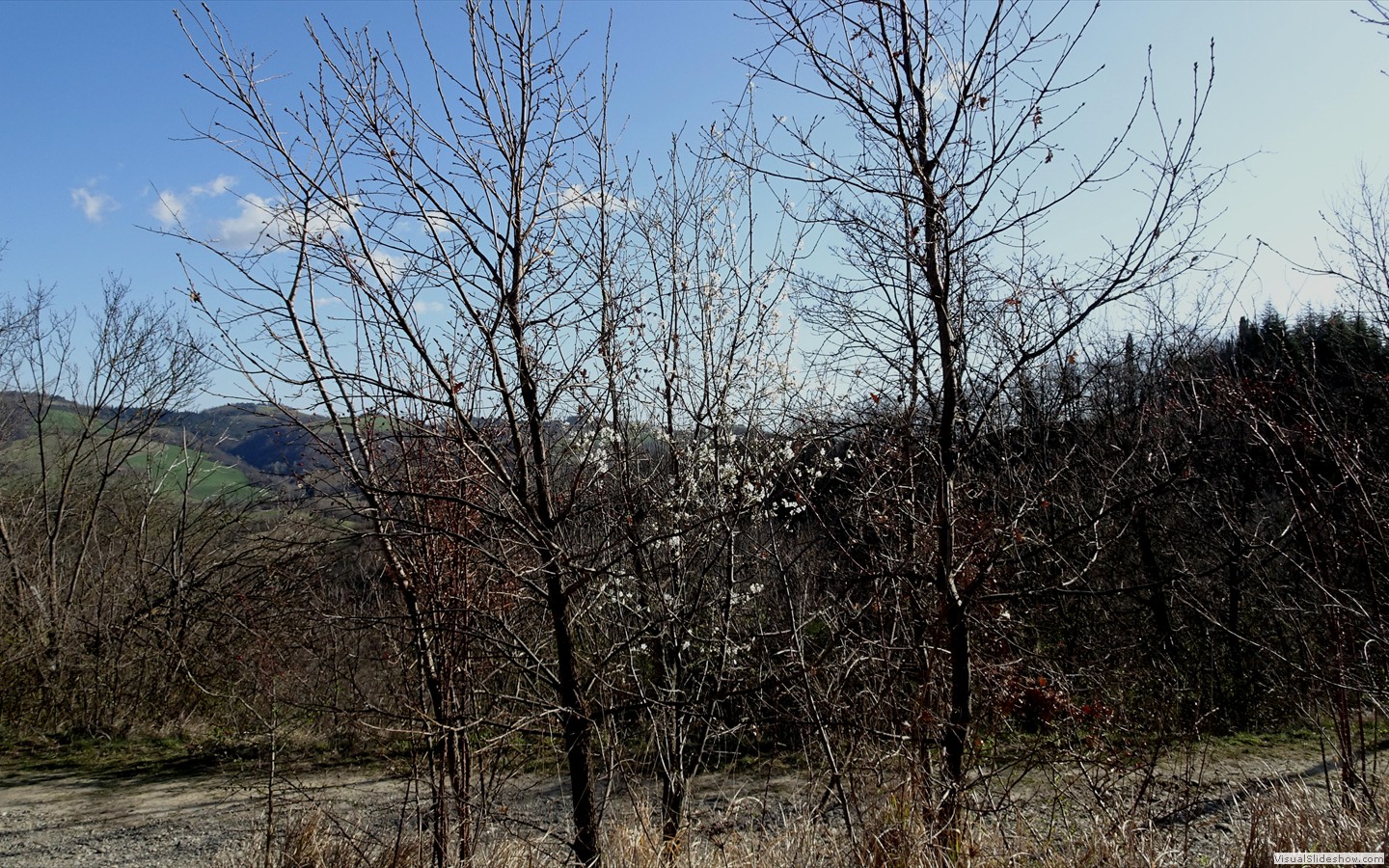 DSC02078