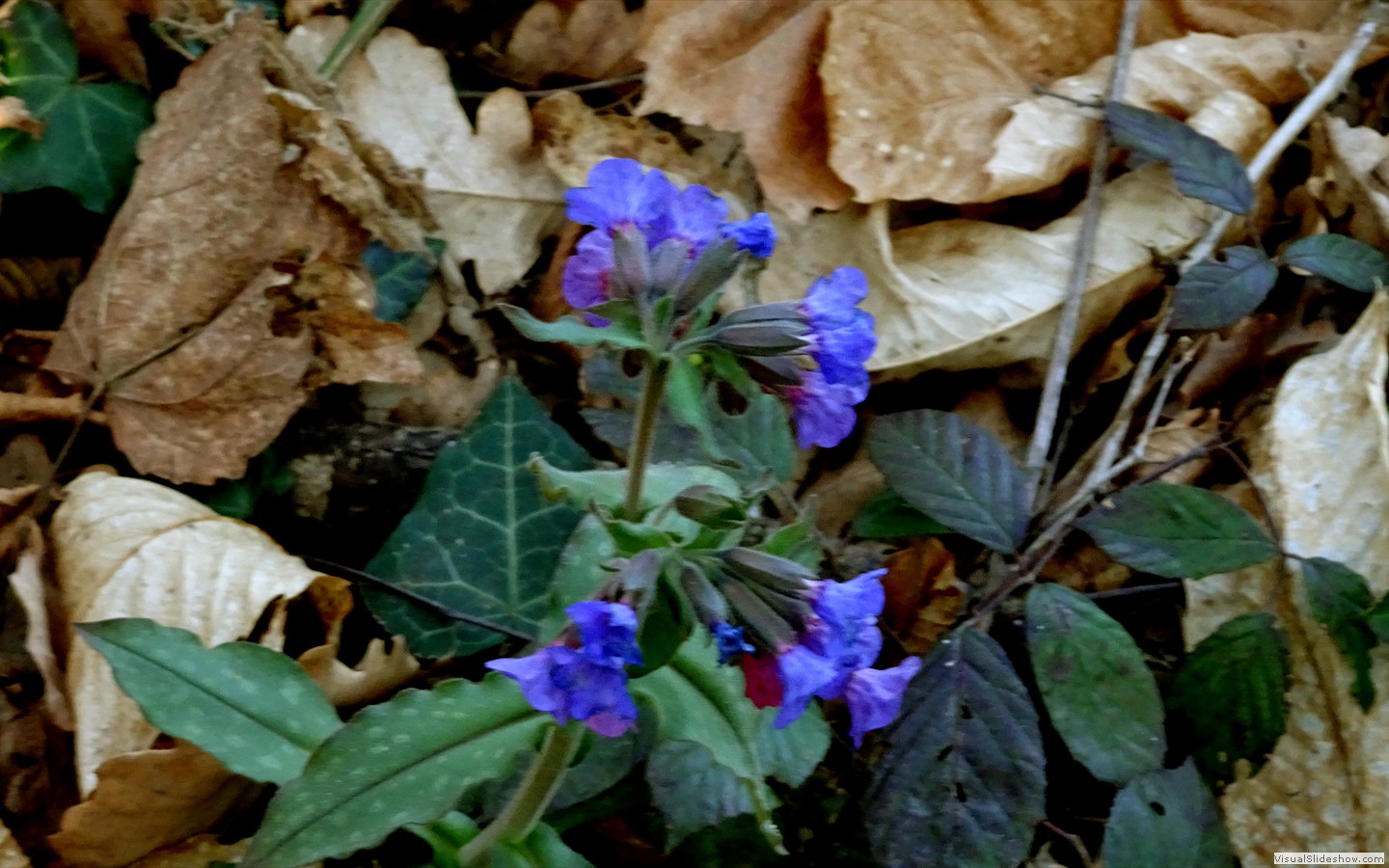 DSC02082