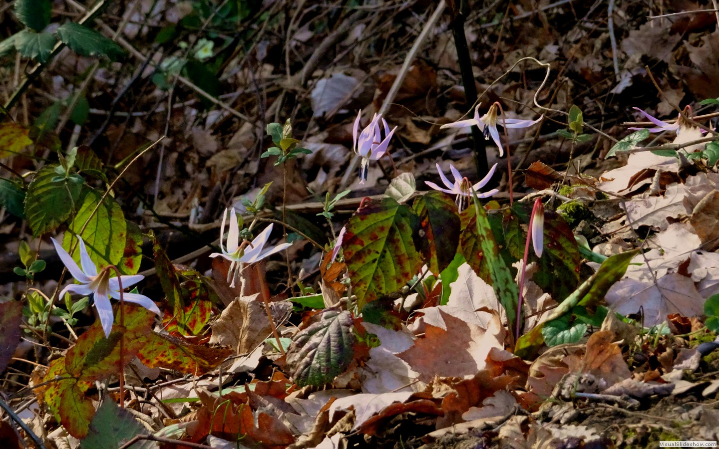 DSC02083