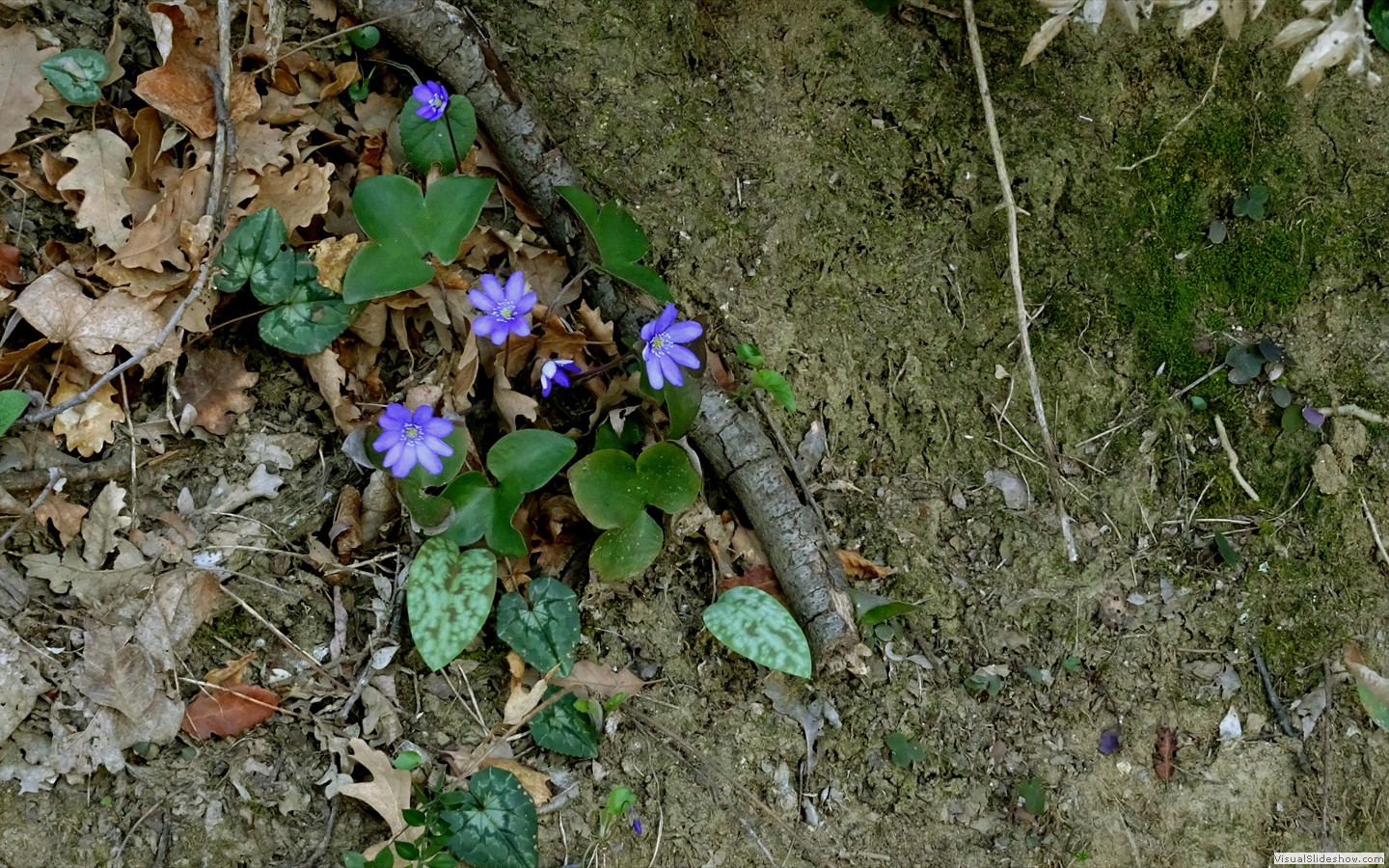 DSC02086