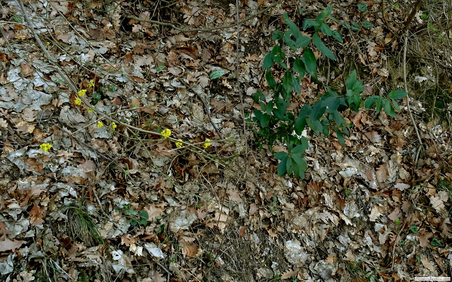 DSC02089