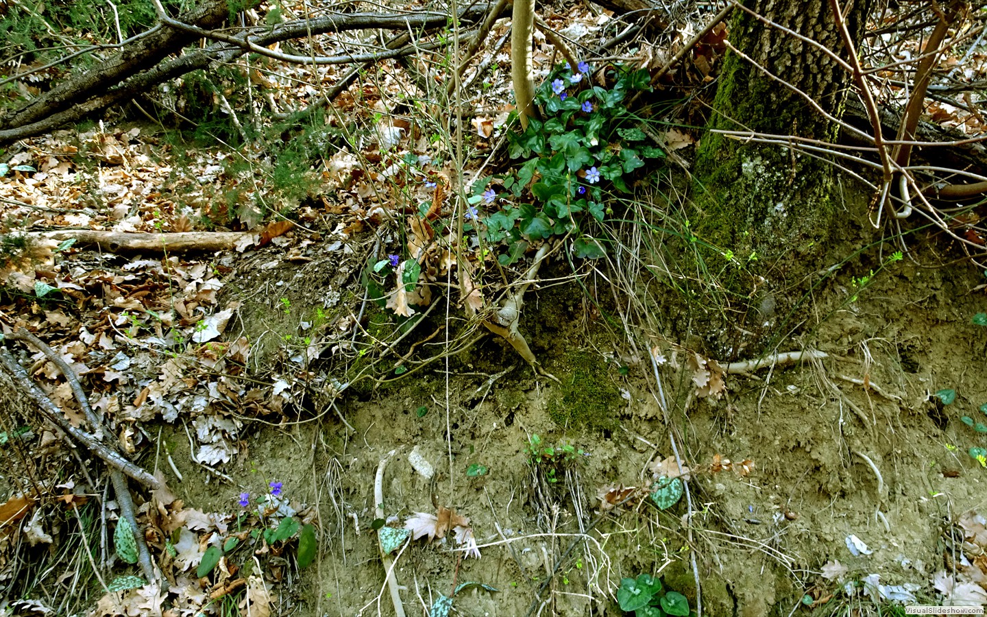 DSC02091