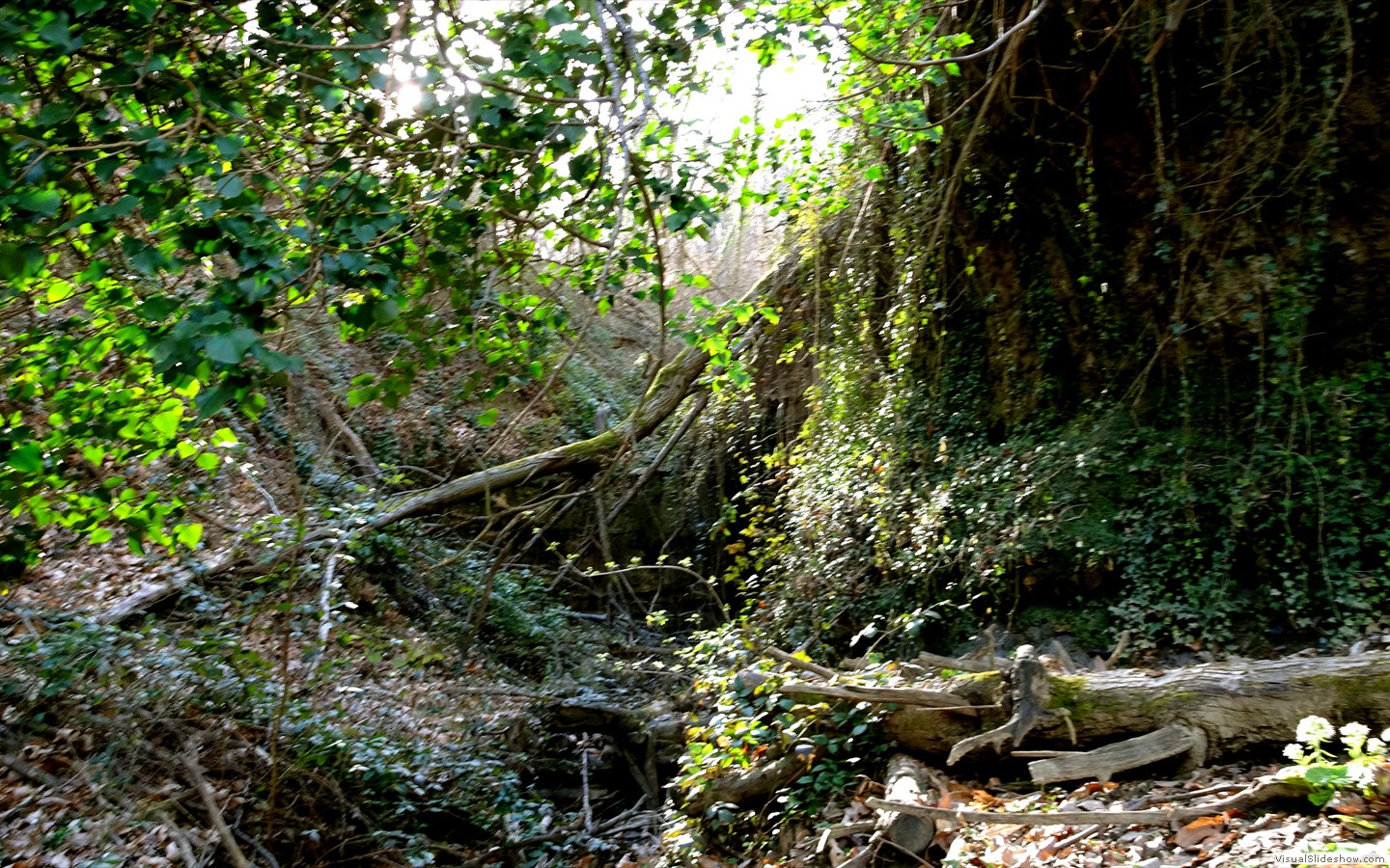 DSC02099