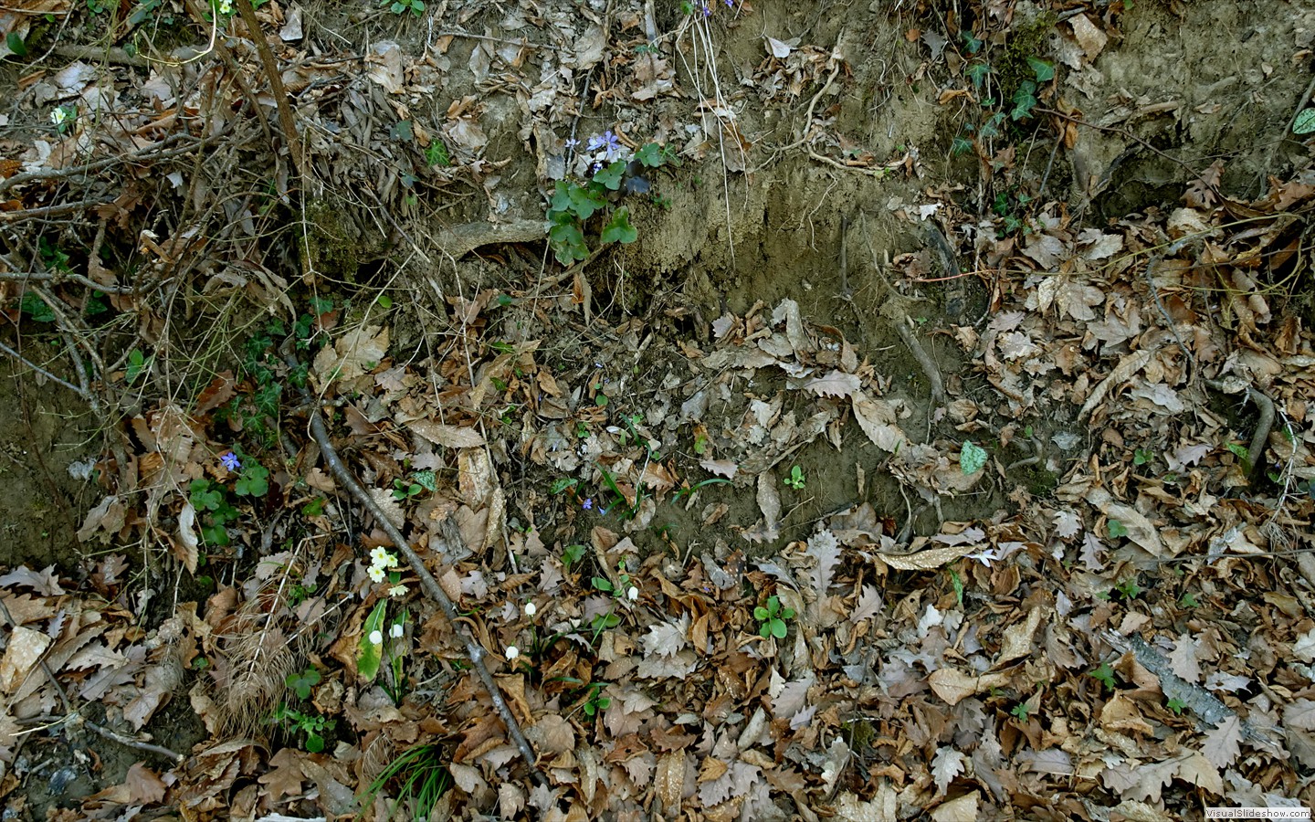 DSC02102