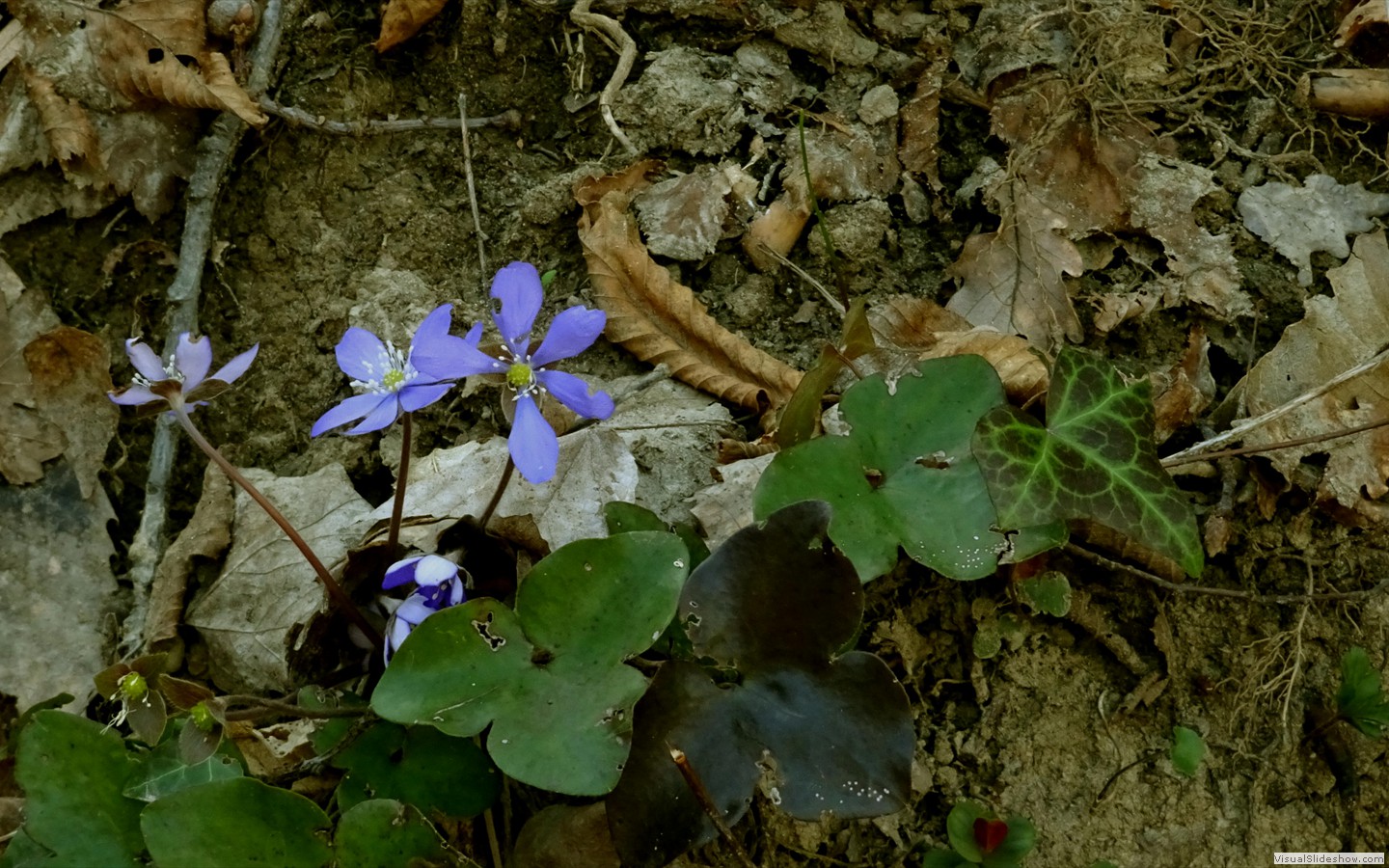 DSC02103